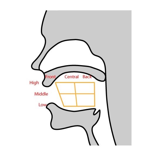 tongue-position