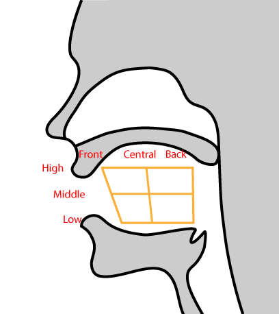 tongue-position