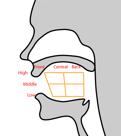 tongue-position for Japanese pronunciation