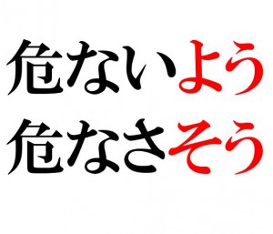 Japanese Grammar: よう そう