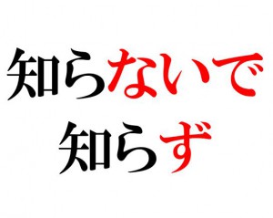 Japanese Grammar: ないで ず