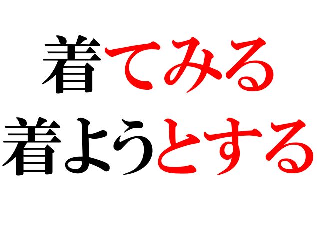 Japanese Grammar: てみる とする