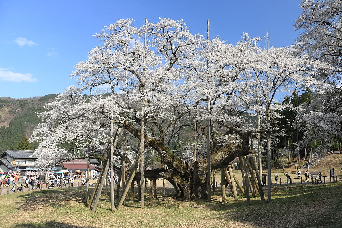 Edohigan